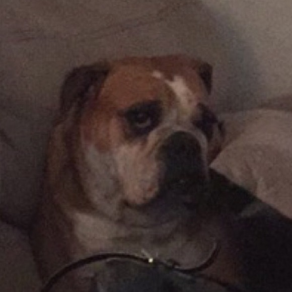 Meet your Posher, Erica - Picture 1 of 1